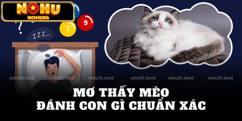 Mơ thấy mèo đánh con gì chuẩn xác