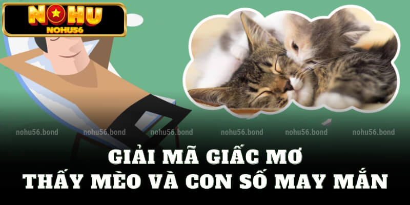 Giải mã giấc mơ thấy mèo và con số may mắn