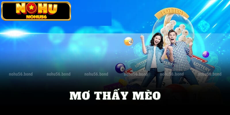 mơ thấy mèo