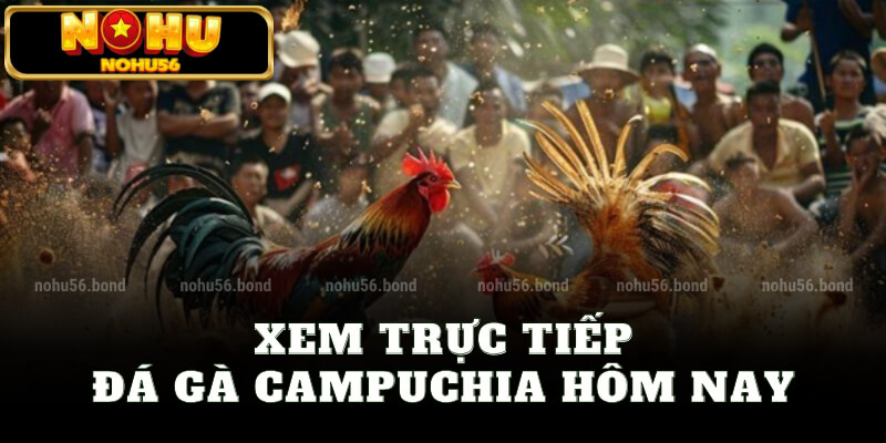 Xem trực tiếp đá gà Campuchia hôm nay